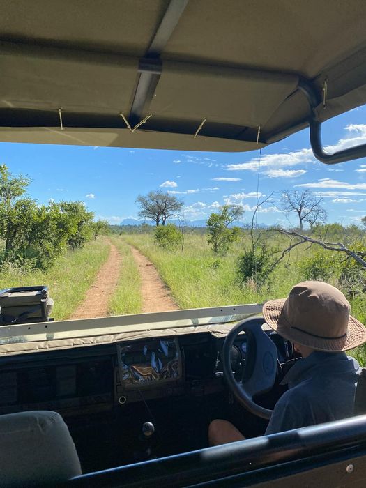 Explore the scenic beauty of Kruger Park
