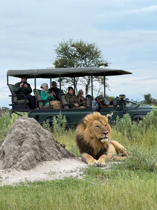Guests enjoying game viewing in the Okavango Delta Botswana