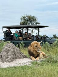 Guests enjoying game viewing in the Okavango Delta Botswana