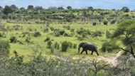 On safari with Safari Legends